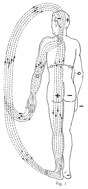 Polarity Therapy Volume 1, Book 2, Chart 07